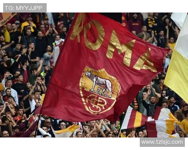 法国足球明星阵容揭秘 揭开他们背后的故事与辉煌成就