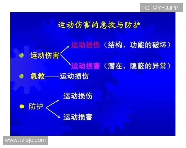 足球球星脚踝保护技术创新与发展对运动表现与伤害预防的影响分析